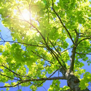 欧美穿环穿孔HD
