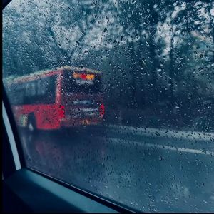 欧美穿环穿孔HD
