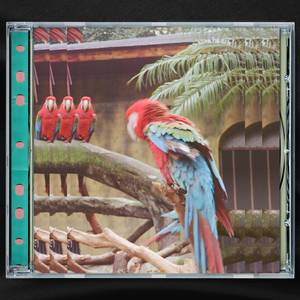 欧美穿环穿孔HD
